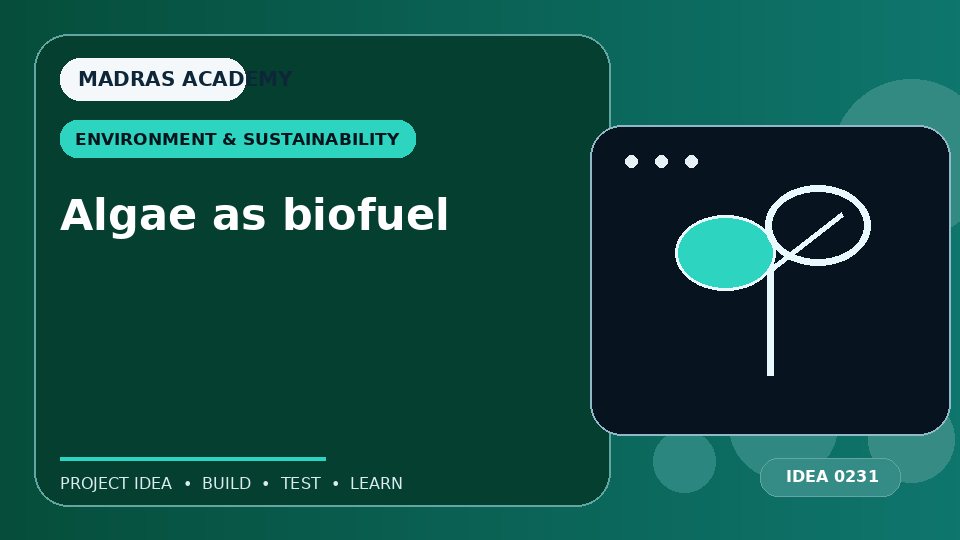 Algae as biofuel