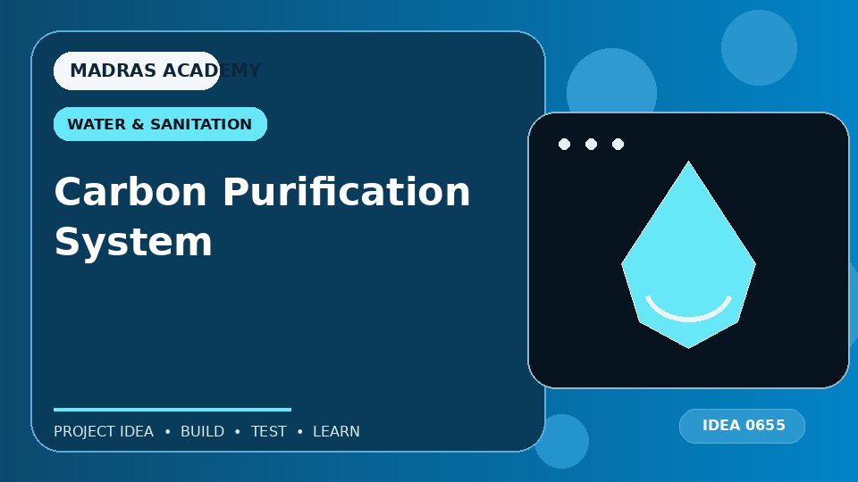 Carbon Purification System