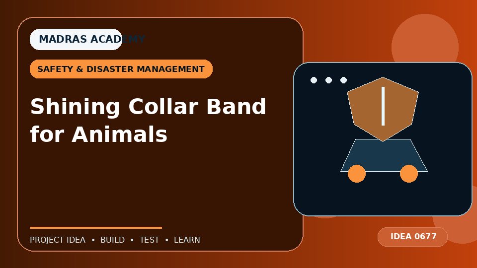 Shining Collar Band for Animals